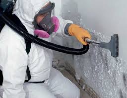 Best Mold Remediation for Vacation Homes  in Cottonwood, ID